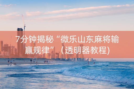 7分钟揭秘“微乐山东麻将输赢规律”（透明器教程)