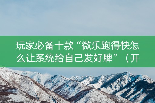 玩家必备十款“微乐跑得快怎么让系统给自己发好牌”（开挂辅助插件)