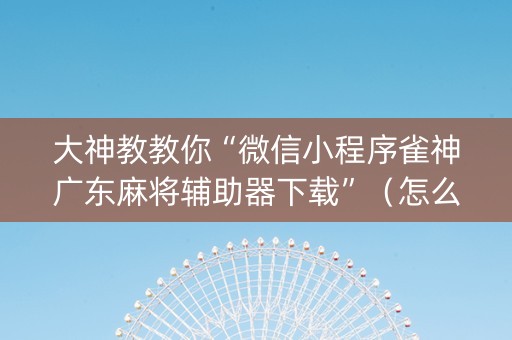 大神教教你“微信小程序雀神广东麻将辅助器下载”（怎么能得到好牌)