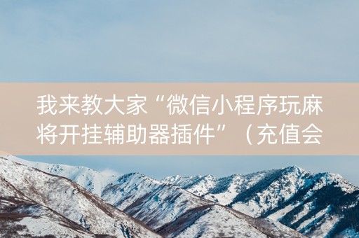 我来教大家“微信小程序玩麻将开挂辅助器插件”（充值会提高胜率么)