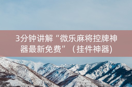 3分钟讲解“微乐麻将控牌神器最新免费”（挂件神器)