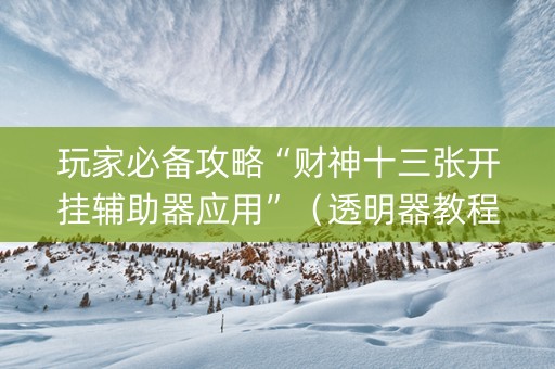 玩家必备攻略“财神十三张开挂辅助器应用”（透明器教程)