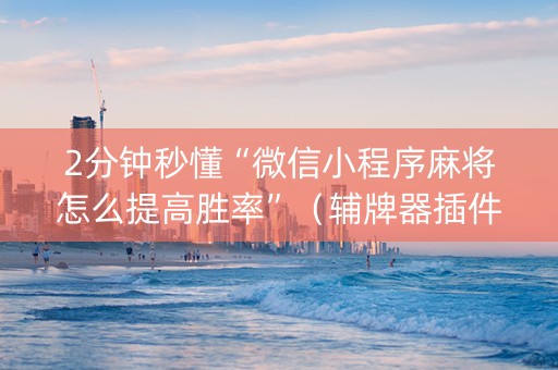 2分钟秒懂“微信小程序麻将怎么提高胜率”（辅牌器插件购买)