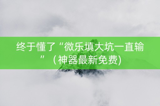 终于懂了“微乐填大坑一直输”（神器最新免费)