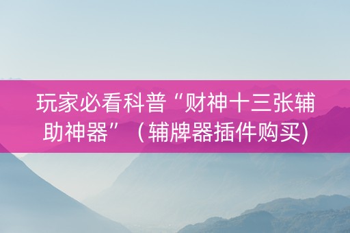 玩家必看科普“财神十三张辅助神器”（辅牌器插件购买)