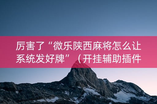 厉害了“微乐陕西麻将怎么让系统发好牌”（开挂辅助插件)