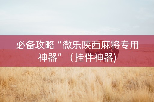 必备攻略“微乐陕西麻将专用神器”（挂件神器)