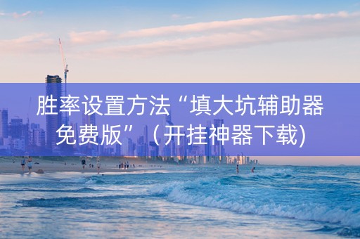 胜率设置方法“填大坑辅助器免费版”（开挂神器下载)