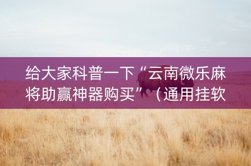 给大家科普一下“云南微乐麻将助赢神器购买”（通用挂软件多少钱)