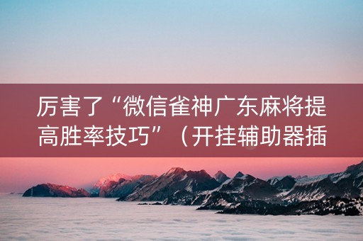 厉害了“微信雀神广东麻将提高胜率技巧”（开挂辅助器插件)