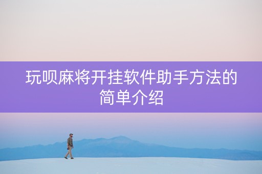 玩呗麻将开挂软件助手方法的简单介绍
