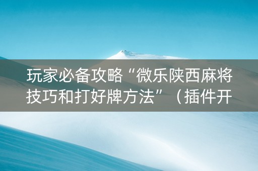 玩家必备攻略“微乐陕西麻将技巧和打好牌方法”（插件开挂免费AI)