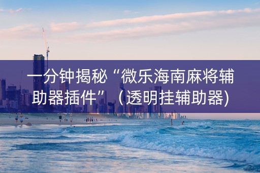 一分钟揭秘“微乐海南麻将辅助器插件”（透明挂辅助器)