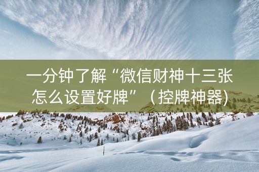 一分钟了解“微信财神十三张怎么设置好牌”（控牌神器)