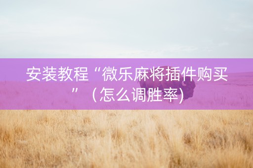 安装教程“微乐麻将插件购买”（怎么调胜率)
