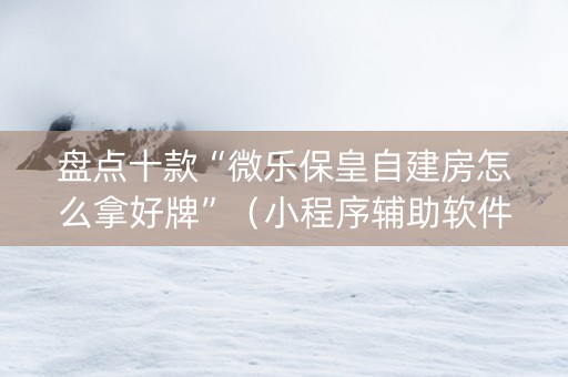 盘点十款“微乐保皇自建房怎么拿好牌”（小程序辅助软件)