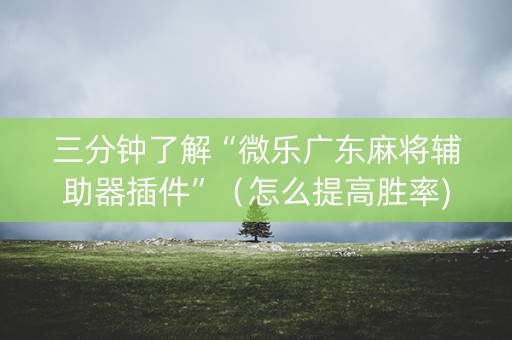 三分钟了解“微乐广东麻将辅助器插件”（怎么提高胜率)