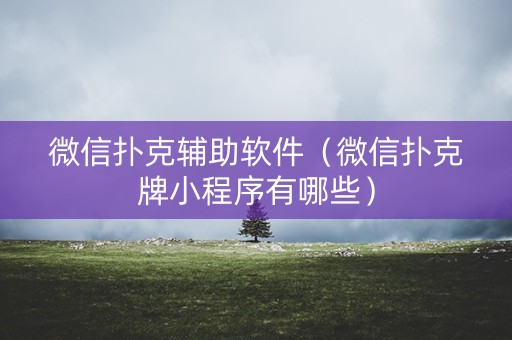 微信扑克辅助软件（微信扑克牌小程序有哪些）