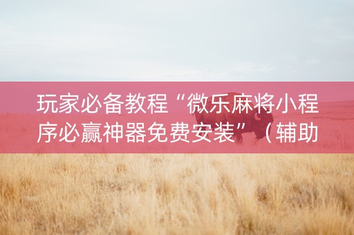 玩家必备教程“微乐麻将小程序必赢神器免费安装”（辅助器通用版)