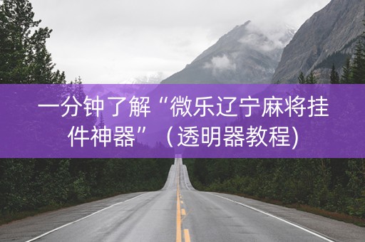 一分钟了解“微乐辽宁麻将挂件神器”（透明器教程)
