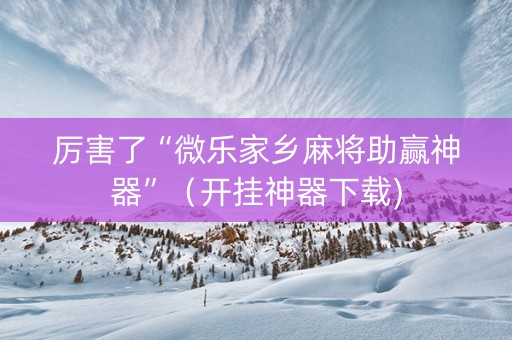 厉害了“微乐家乡麻将助赢神器”（开挂神器下载)