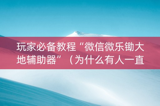玩家必备教程“微信微乐锄大地辅助器”（为什么有人一直赢)