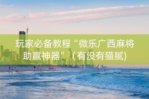 玩家必备教程“微乐广西麻将助赢神器”（有没有猫腻)