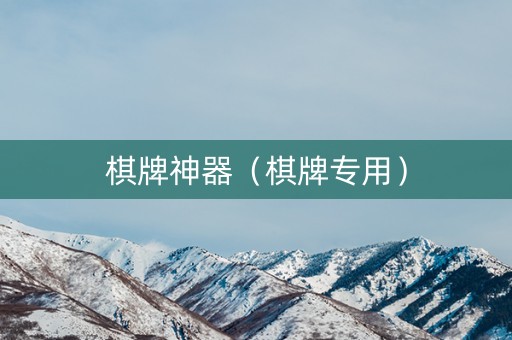 棋牌神器（棋牌专用）