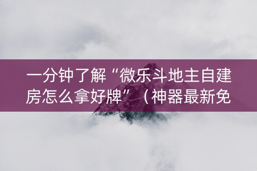 一分钟了解“微乐斗地主自建房怎么拿好牌”（神器最新免费)