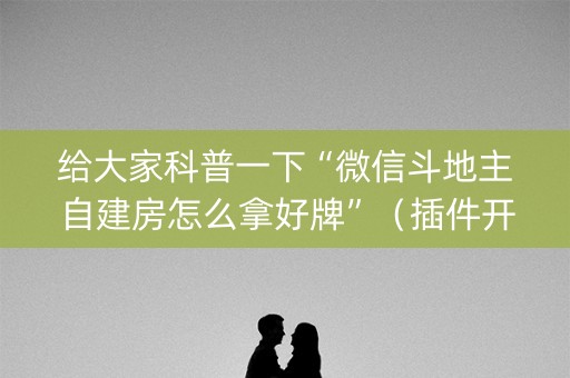 给大家科普一下“微信斗地主自建房怎么拿好牌”（插件开挂免费AI)