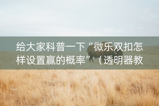 给大家科普一下“微乐双扣怎样设置赢的概率”（透明器教程)