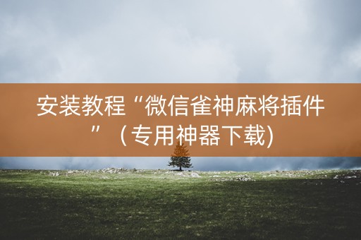 安装教程“微信雀神麻将插件”（专用神器下载)