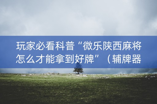 玩家必看科普“微乐陕西麻将怎么才能拿到好牌”（辅牌器插件购买)