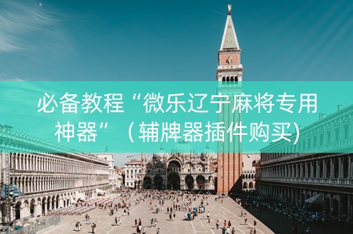 必备教程“微乐辽宁麻将专用神器”（辅牌器插件购买)
