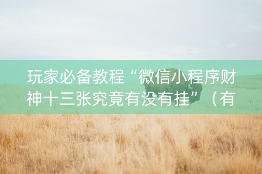 玩家必备教程“微信小程序财神十三张究竟有没有挂”（有什么诀窍)