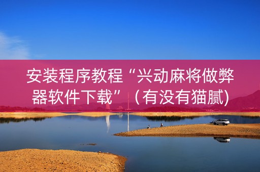 安装程序教程“兴动麻将做弊器软件下载”（有没有猫腻)