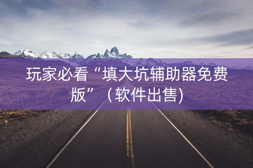 玩家必看“填大坑辅助器免费版”（软件出售)