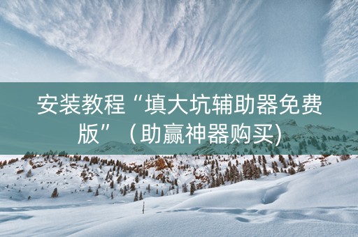 安装教程“填大坑辅助器免费版”（助赢神器购买)