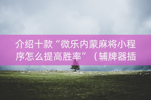 介绍十款“微乐内蒙麻将小程序怎么提高胜率”（辅牌器插件购买)