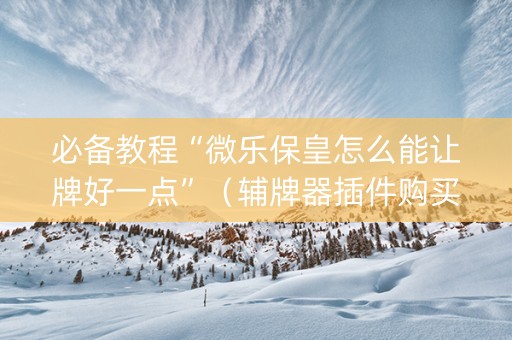 必备教程“微乐保皇怎么能让牌好一点”（辅牌器插件购买)