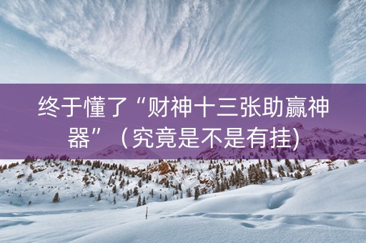 终于懂了“财神十三张助赢神器”（究竟是不是有挂)