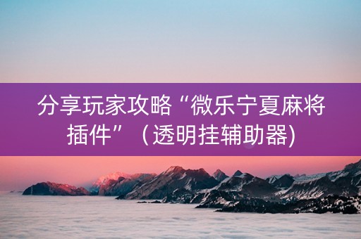 分享玩家攻略“微乐宁夏麻将插件”（透明挂辅助器)