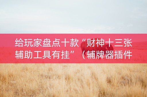 给玩家盘点十款“财神十三张辅助工具有挂”（辅牌器插件购买)