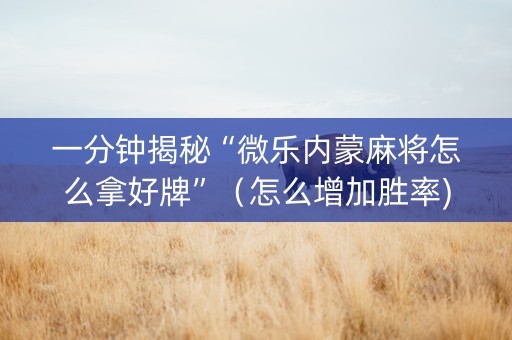 一分钟揭秘“微乐内蒙麻将怎么拿好牌”（怎么增加胜率)