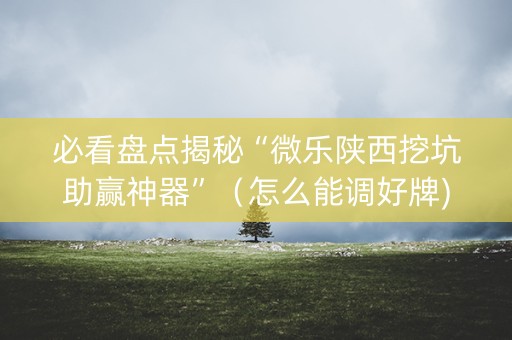 必看盘点揭秘“微乐陕西挖坑助赢神器”（怎么能调好牌)