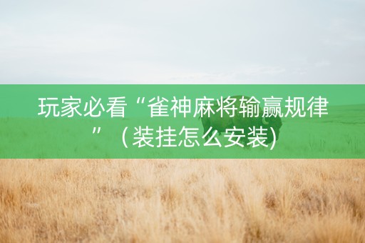 玩家必看“雀神麻将输赢规律”（装挂怎么安装)