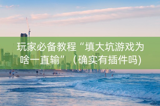 玩家必备教程“填大坑游戏为啥一直输”（确实有插件吗)