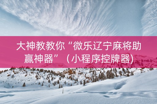 大神教教你“微乐辽宁麻将助赢神器”（小程序控牌器)
