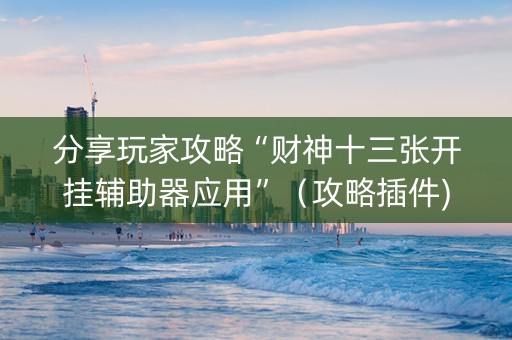 分享玩家攻略“财神十三张开挂辅助器应用”（攻略插件)