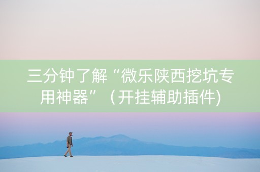三分钟了解“微乐陕西挖坑专用神器”（开挂辅助插件)